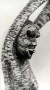 LS6806 Lucas SITHOLE "Snake dancer", 1968 - Apricot wood - close-up