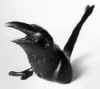 LS8104 Lucas SITHOLE "Protest (Bird)" 1981 Nkunzibomvu wood 021x048x020 cm