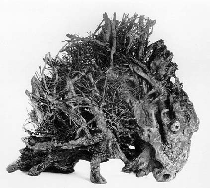 LS8913 Lucas SITHOLE "Bison" (right view), 1989 - Root forms from Swaziland - 068x074x026