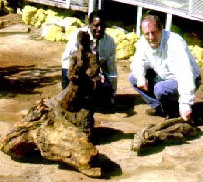 Lucas SITHOLE and Fernand F. Haenggi at Pongola, 1992 (Lucas Sithole was also a trustee of The Haenggi Foundation Inc.)